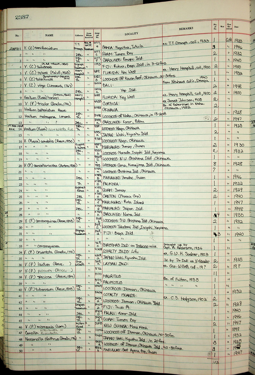 Cancilla interlirata