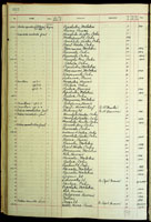 Natica macrocheilus, 64025