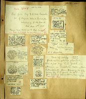 Succinea mirabilis, 188815
