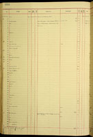 Planamastra heliciformis, 123314