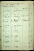 Mitra literata, 204528