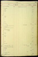 Punctidae, 21045