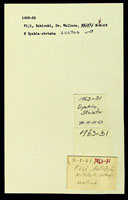 Dyakia striata