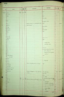 Synopeas javanicum, 189536