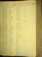 Samoana conica, 491