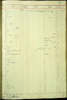 Tornatellides thaanumi, 35196