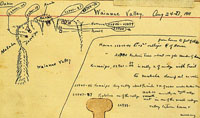 Helicina rotelloidea, 22986
