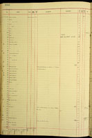 Amastra micans, 123101