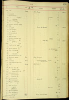 Endodonta spaldingi, 17919