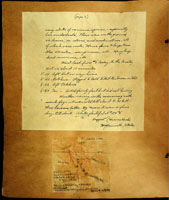 Succinea cinnamomea