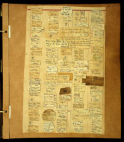Limnaea, 19091