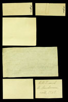 Lioconcha hieroglyphica