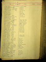 Cypraea intermedia, 73