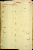 Newcombia pfeifferi, 24052