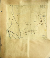 Nesopupa thaanumi, 192420
