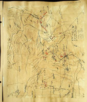Euconulus, 171328