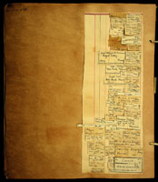 Nesopupa thaanumi, 18701