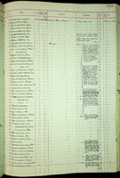 Codakia thaanumi, 203258