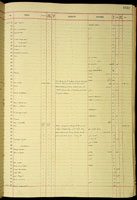 Amastra aemulator, 162294