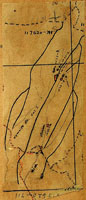Hawaiia, 117620
