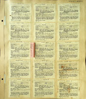 Ellobiidae, 181646