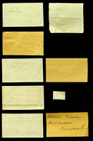 Hemicardia mundum, 60472