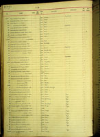 Hiona orbis, 11453