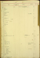 Amastra porcus, 17187