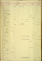 Leptachatina approximans, 17142