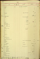 Amastra gravida, 16183