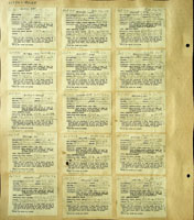 Sinployea allecta tauensis, 181998