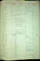 Partula recta, 186954
