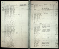 Conus spiceri, 280200