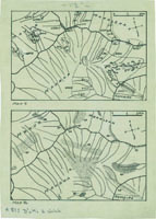 Helcinia, 118144