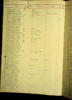 Helix lowei, 1251