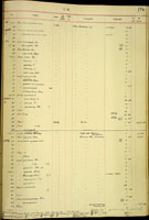 Endodonta hystrix, 17607