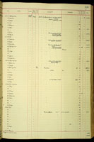 Subulina, 53485