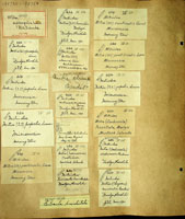 Mitra nubila hawaiiensis, 195739