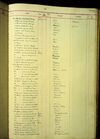 Avicula sterna, 7705