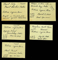 Tellina rugosa, 196245