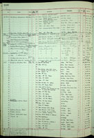 Vexillum wolfei, 218717