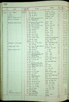 Pecten, 218848
