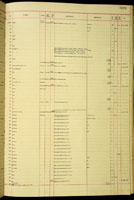 Tornatellarina, 132673