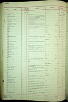 Gonatorhaphe brazieri, 189415