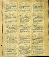 Allopeas clavulinum, 173636