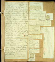 Retinella, 162585