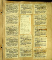 Thiaridae, 187807