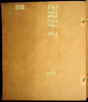 Tornatellides macromphala ada, 13724