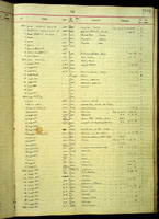 Achatinella, 9209