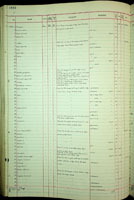 Ellobium, 189337
